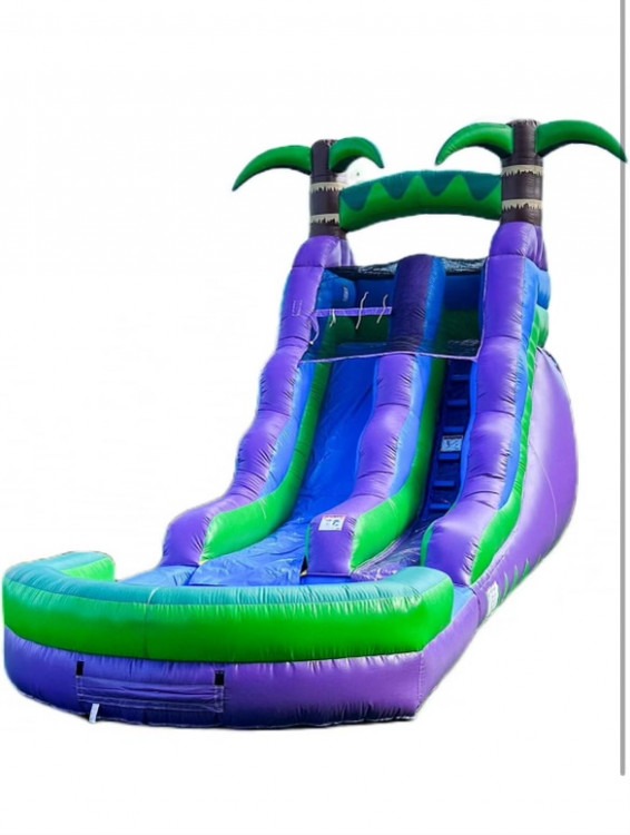 Purple Crush Waterslide