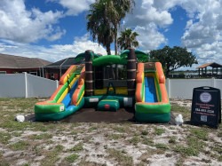 5995EF29 7F28 46B6 B867 B73B0BC16959 1723066321 Tropical Bounce House/ Dual Lane Waterslide